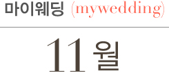 11월